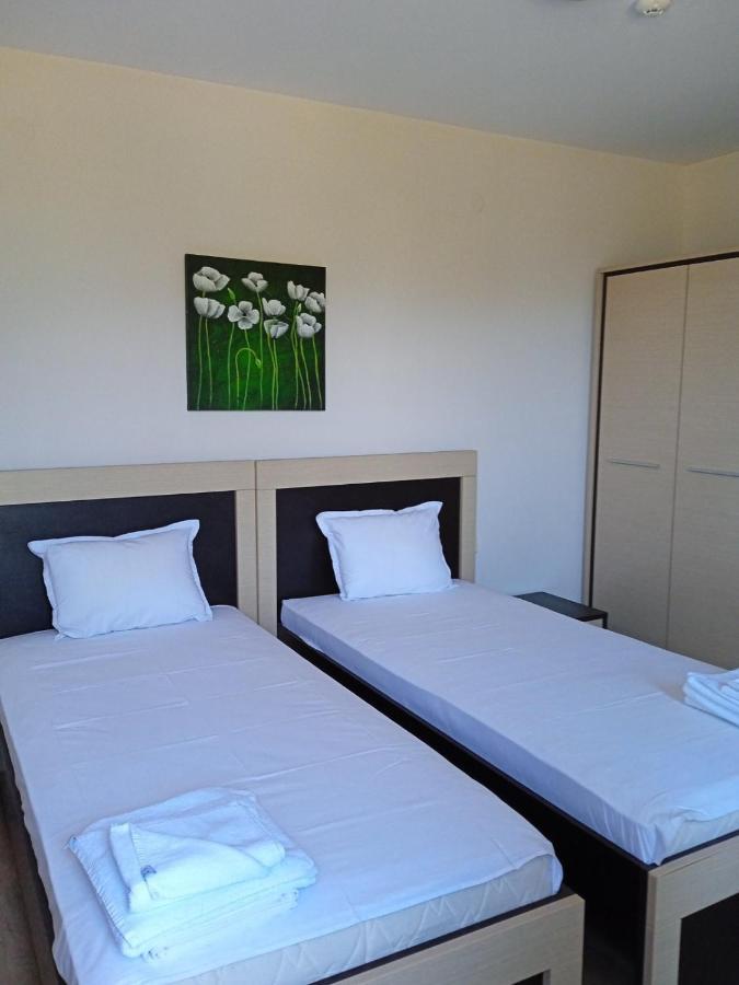 Private Apartments In Alpine Lodge בנסקו מראה חיצוני תמונה