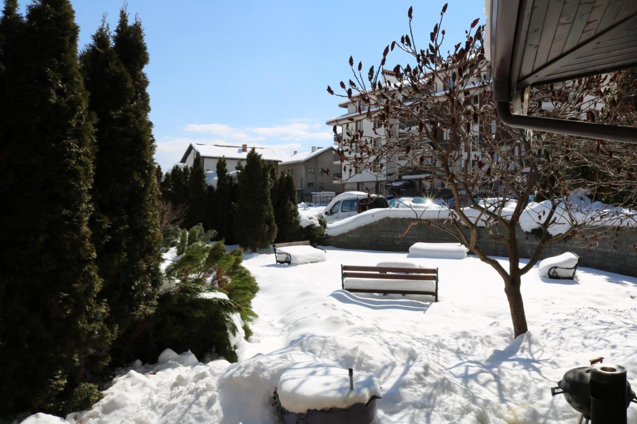 Private Apartments In Alpine Lodge בנסקו מראה חיצוני תמונה