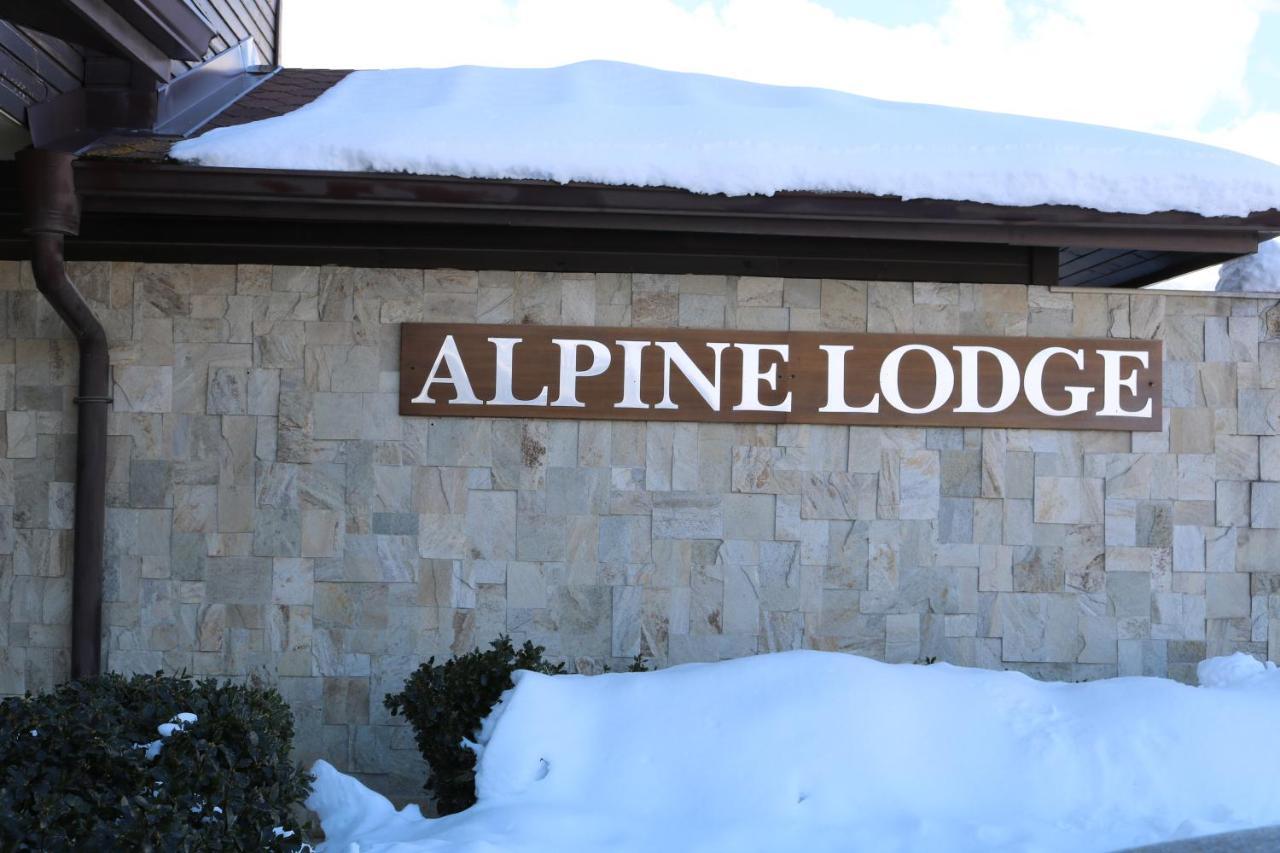 Private Apartments In Alpine Lodge בנסקו מראה חיצוני תמונה