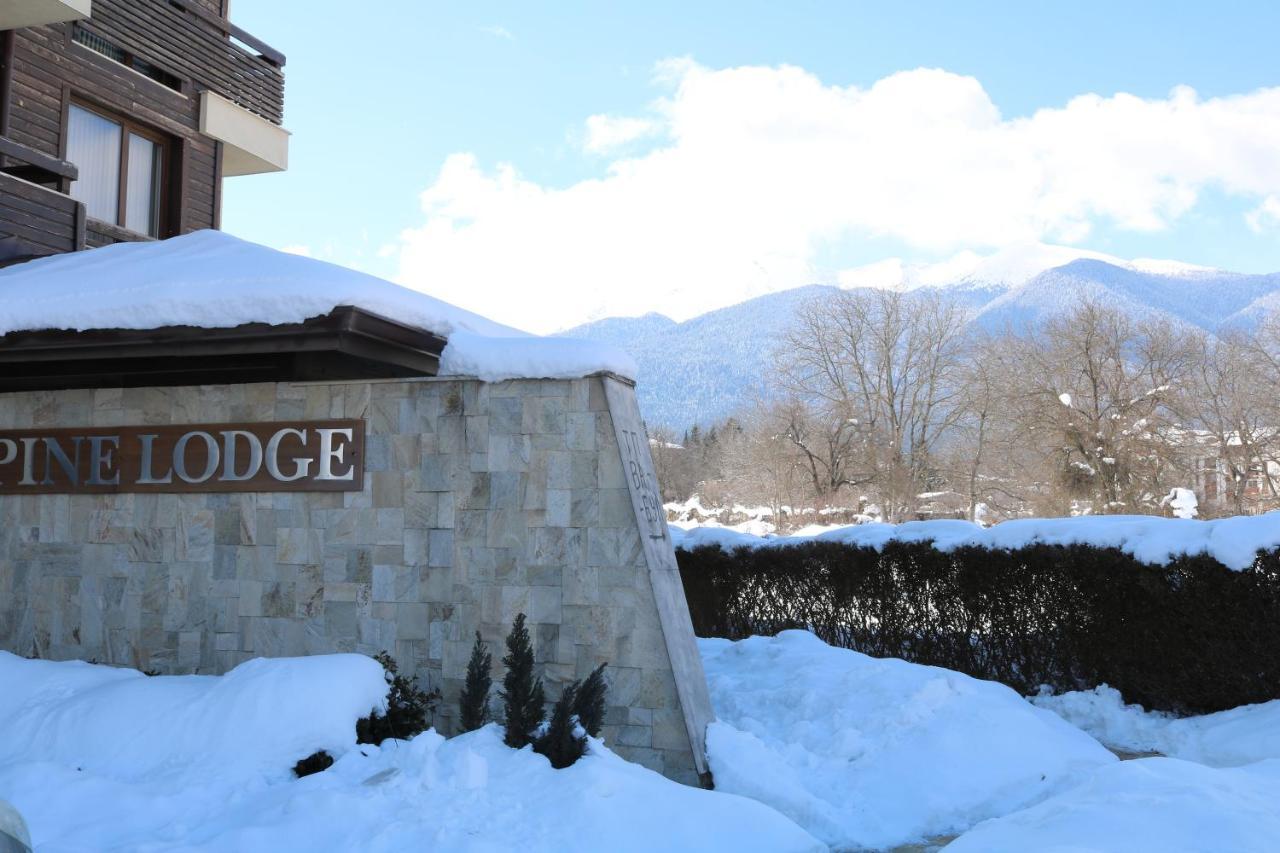 Private Apartments In Alpine Lodge בנסקו מראה חיצוני תמונה