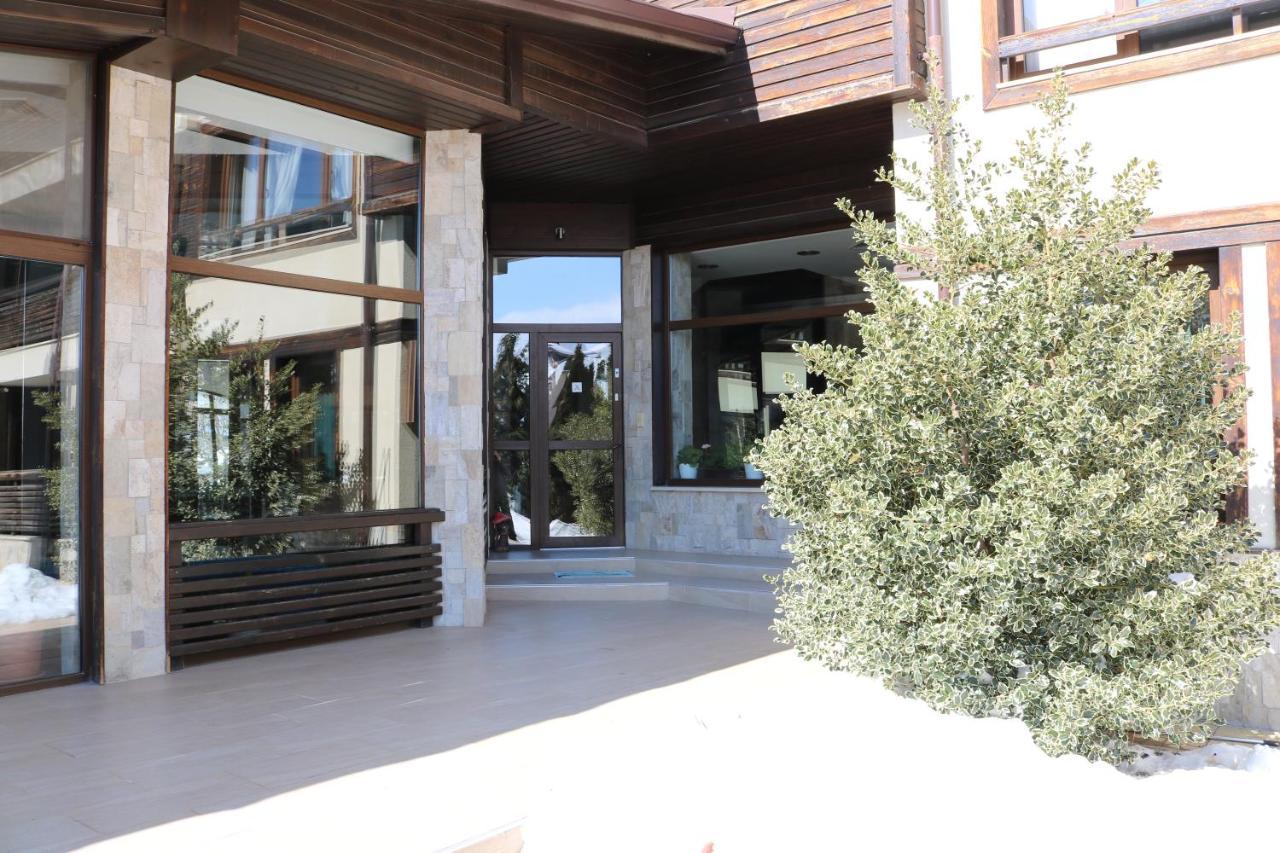 Private Apartments In Alpine Lodge בנסקו מראה חיצוני תמונה