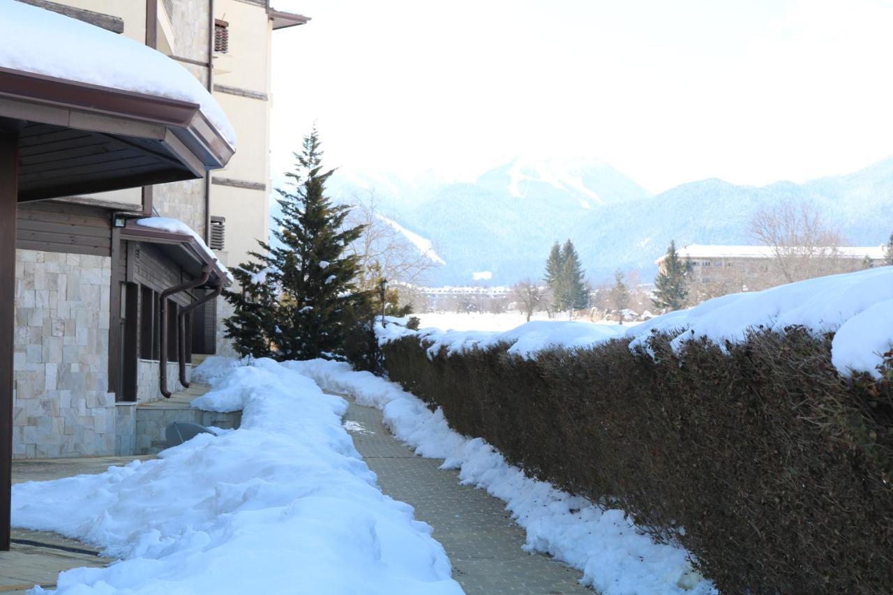 Private Apartments In Alpine Lodge בנסקו מראה חיצוני תמונה