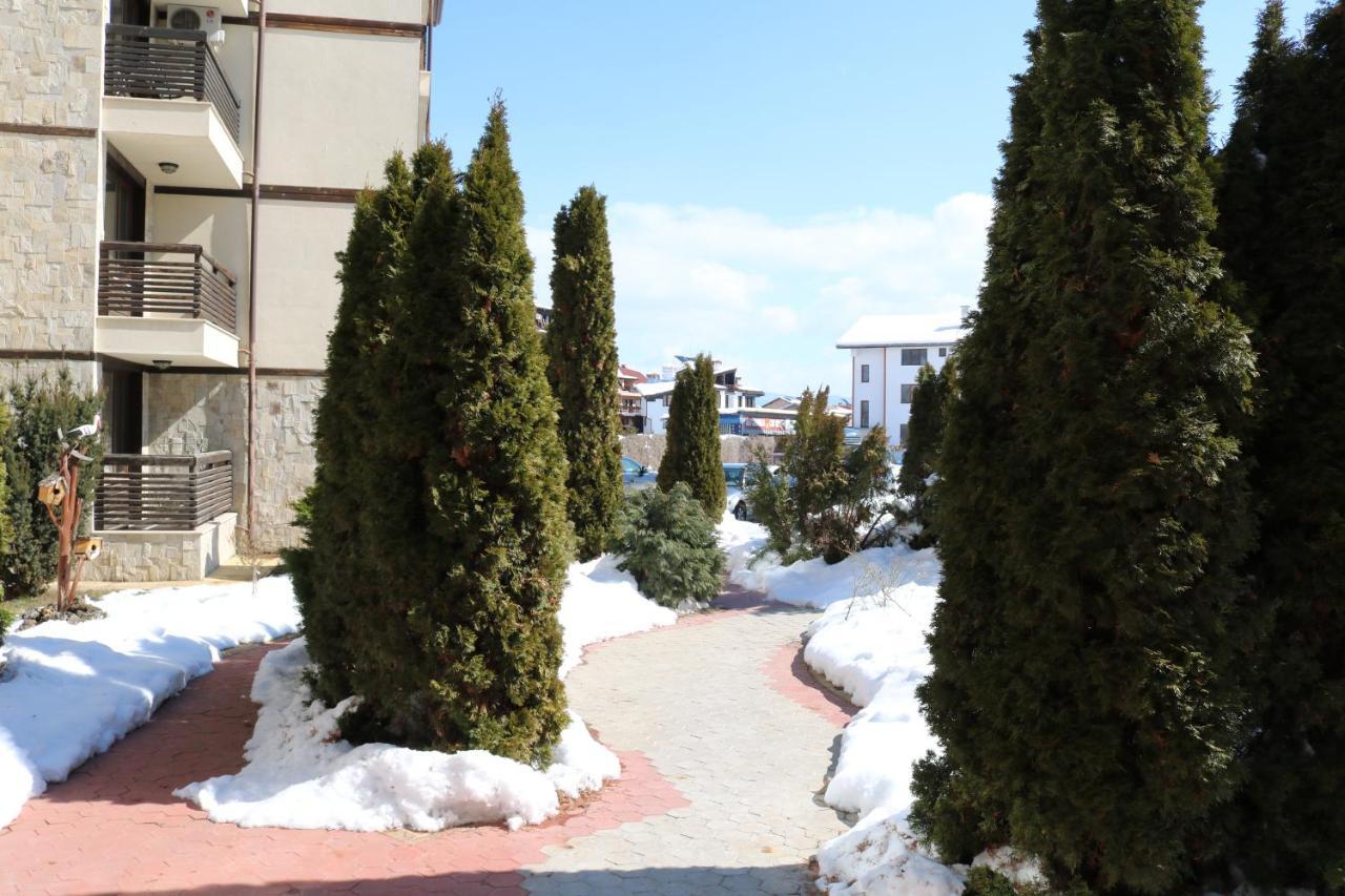 Private Apartments In Alpine Lodge בנסקו מראה חיצוני תמונה