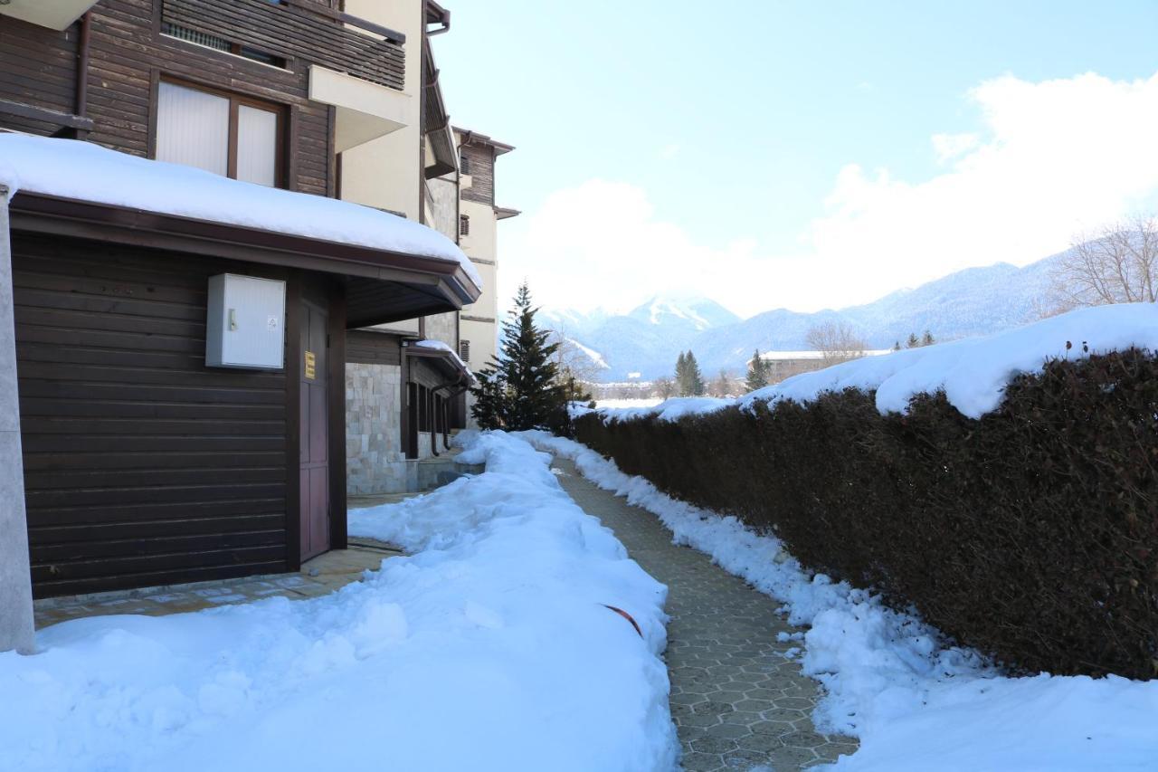 Private Apartments In Alpine Lodge בנסקו מראה חיצוני תמונה