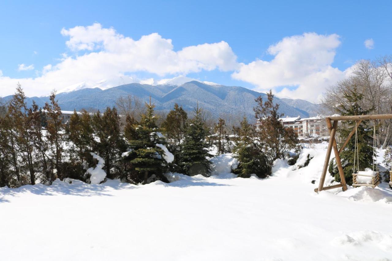 Private Apartments In Alpine Lodge בנסקו מראה חיצוני תמונה