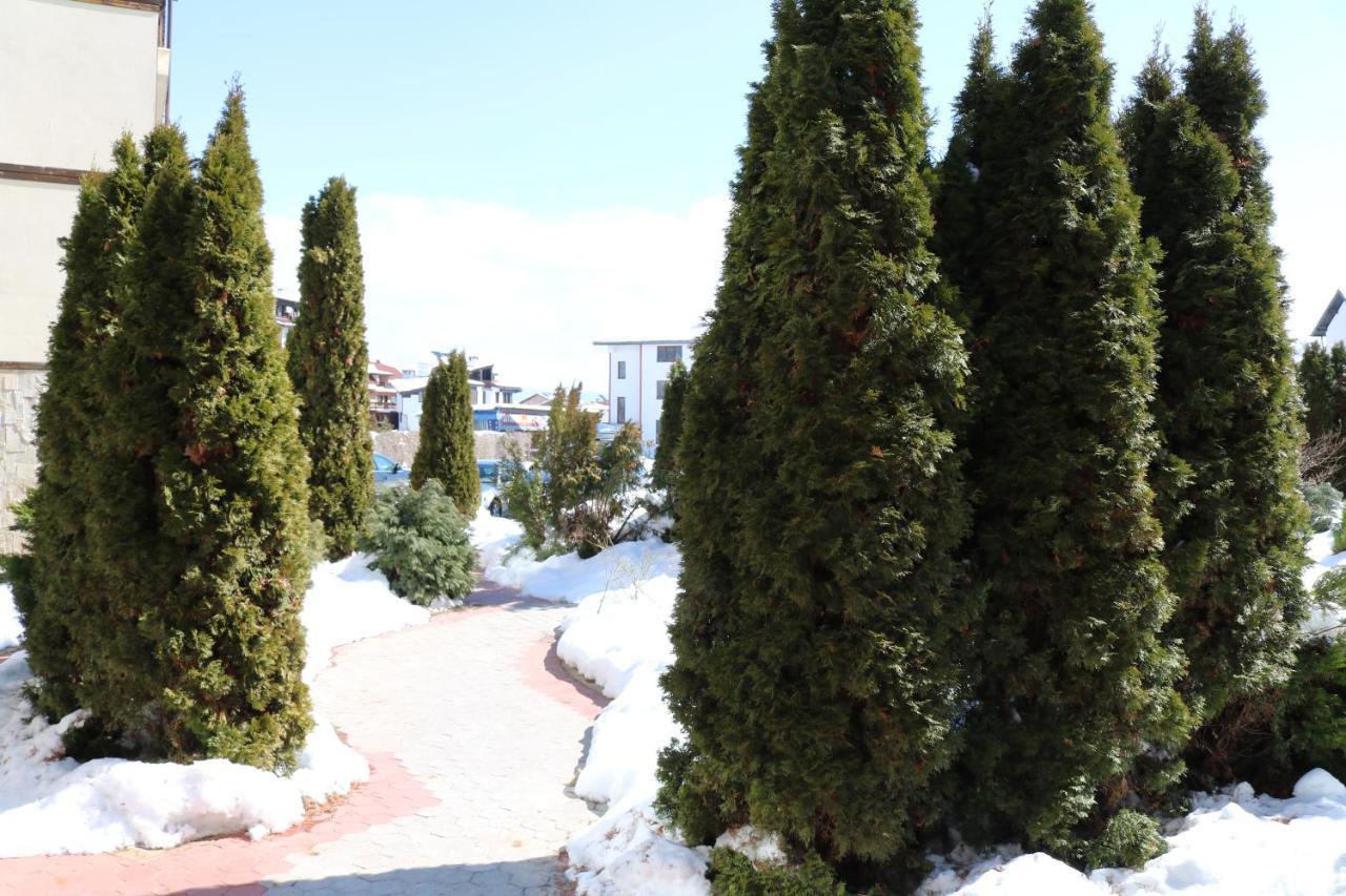 Private Apartments In Alpine Lodge בנסקו מראה חיצוני תמונה